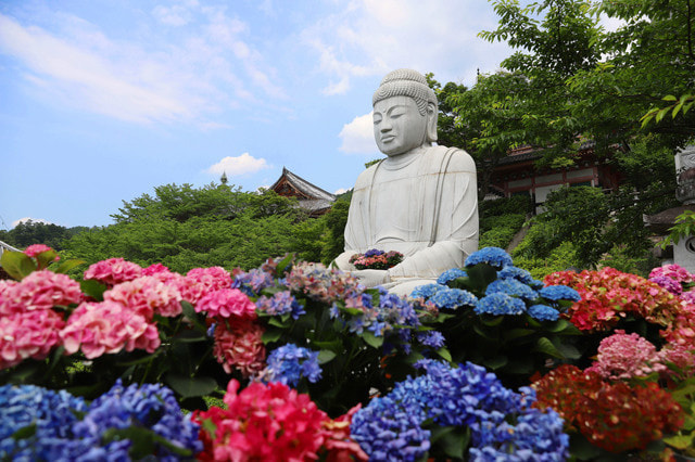 永大供養墓イメージ